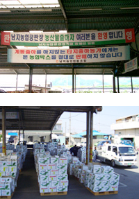 규모및운영현황